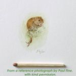 tiny harvest mouse with match Paul Fine
