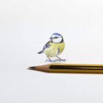 miniature blue tit pencil